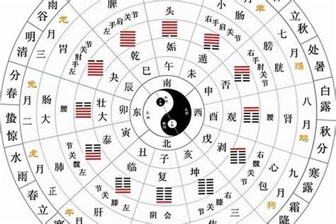 同字五行|同的五行